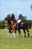 UKPA NC SAT_2106